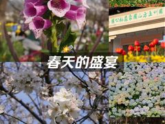 -苏州上方山国家森林公园