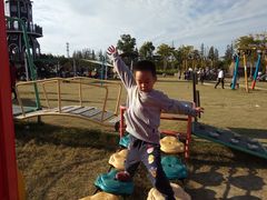 -上海长兴岛郊野公园