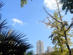 -苏州河梦清园环保主题公园