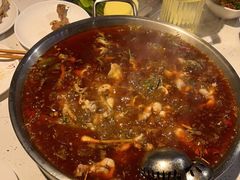 -蛙鱼道美蛙鱼自助火锅(新耍都店)