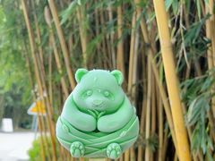 -成都大熊猫繁育研究基地