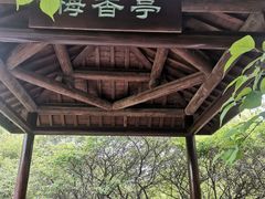 -苏州太湖国家湿地公园