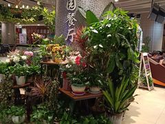 -舌尖上的食缘花园主题餐厅