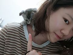 -宠爱国际动物医院·消化内科·心肾内科·ISFM猫友好(望京店)