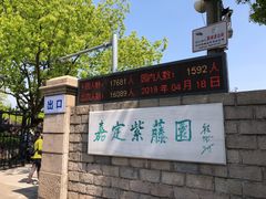 -嘉定紫藤园