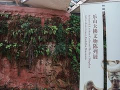 -乐山市博物馆