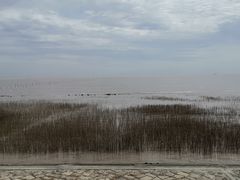 -南汇嘴观海公园