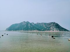 -北岐滩涂