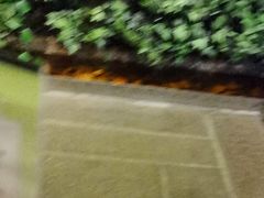 -外婆家(杭州马塍店)