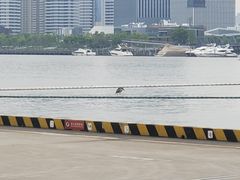 -上海港国际客运中心