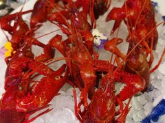 -辉哥火锅(虹桥路店)