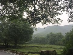 -法云安缦酒店