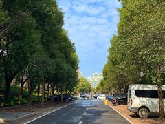 -上海浦东星河湾酒店