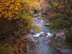 -光雾山旅游景区