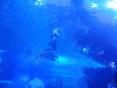 -多彩贵州城极地海洋世界