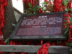 景点-乌镇西栅景区-月老庙