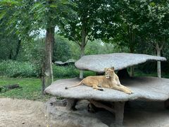 -北京野生动物园