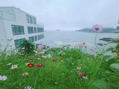 -枸杞岛