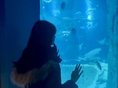 -大连圣亚海洋世界