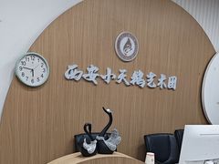 -西安小天鹅艺术团(金花路校区)