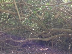 iphone_upload_pic-南丫岛