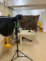 -大风车儿童摄影(西门大街店)