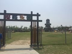 -上海长兴岛郊野公园