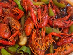 -京悦南门涮羊肉·羊蝎子火锅(田林路店)