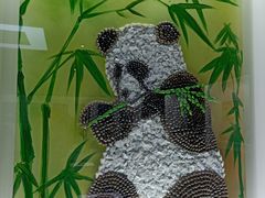 -贝壳王国博物馆