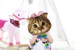 -首尔宝宝SEOUL  BABY STUDIO(通州店)