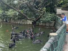 -深圳野生动物园