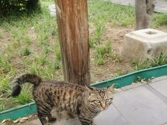 -正阳书局(西四南大街店)