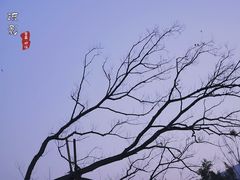 -西昌邛海湿地