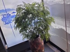 -上足·影院足道·SPA(红岭店)