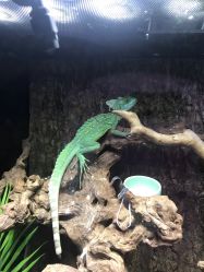 -酷嗒动物文化乐园(cutezoo西溪乐天城店)