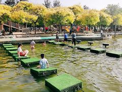 游乐设施-杨柳青庄园