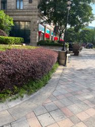 -杭州奥拉克医疗美容门诊部