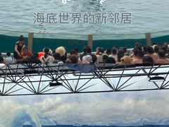 -秦皇岛乐岛海洋王国