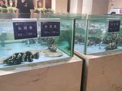 水产区-旺顺阁海鲜广场(亚运村店)