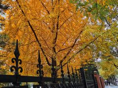 -元大都城垣遗址公园