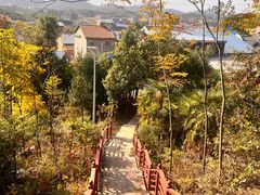 -青龙山国家森林公园