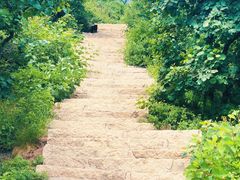 -香山公园