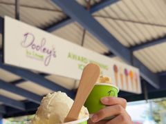 -Dooley's Premium Ice Cream