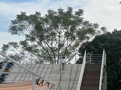 -长洲岛都市农业公园