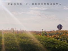 -荷兰花海