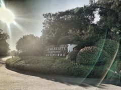 -浙江安吉JW万豪酒店·万豪中餐厅