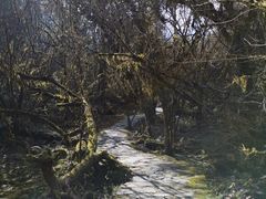 -燕子沟风景区