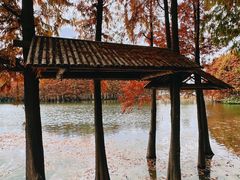 -厦门园林博览苑