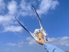 -海埂大坝