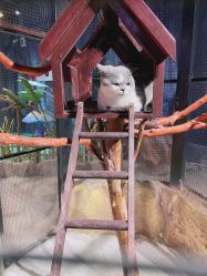 -酷嗒动物文化乐园(cutezoo西溪乐天城店)